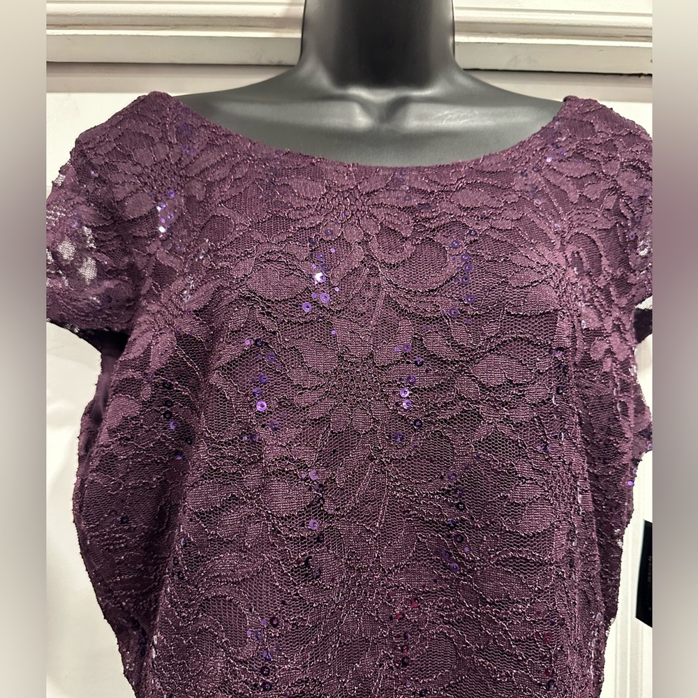 Elegant Size 14 Lace Overlay Dress - Picture 2 of 7